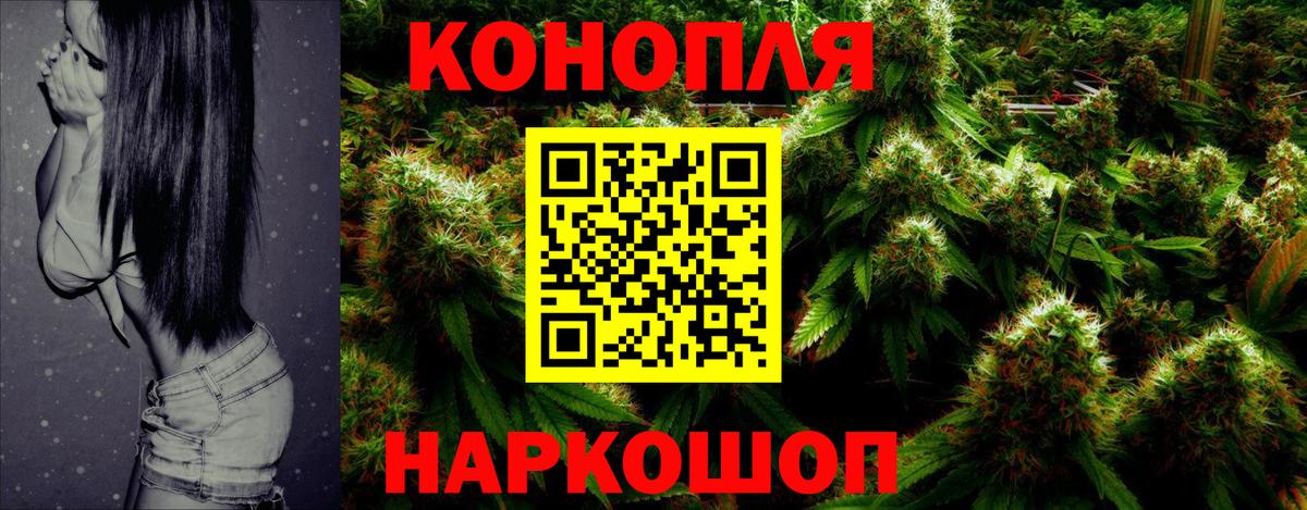 Бошки Шишки план Томск